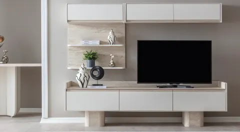 Flora Modern TV Unit
