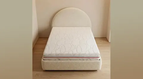Big Life Bed