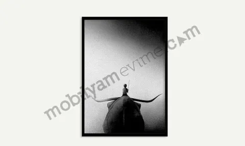 Poster 40