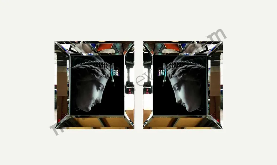 Sculpture Mirror Framed Painting