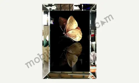 Butterfly Mirror Framed Painting