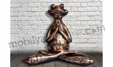 Yogacı Kurbağa 2