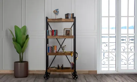 Moskova Bookshelf