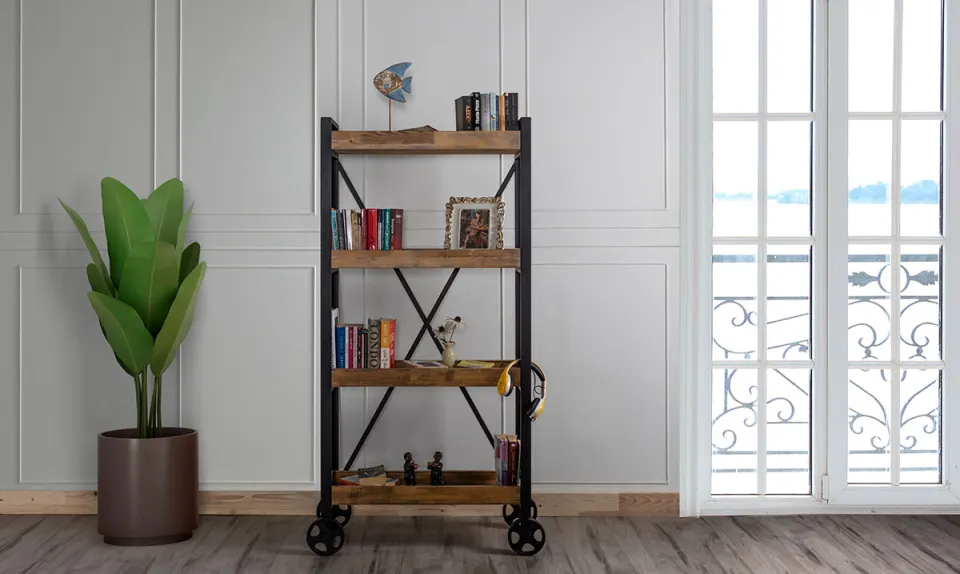 Moskova Bookshelf