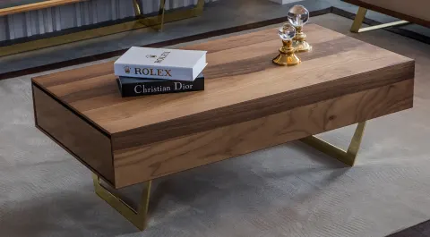 Nest Çekmeceli Gold Metal Leg Coffee Table (Walnut)