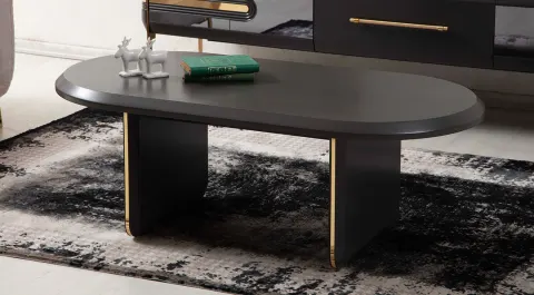 Royal Modern Coffee Table