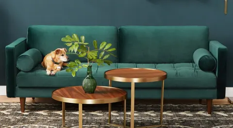 Riva Dual Sofa