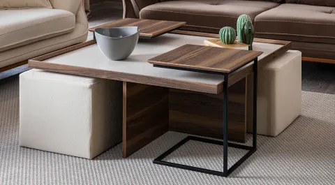 Janti Modern Coffee Table