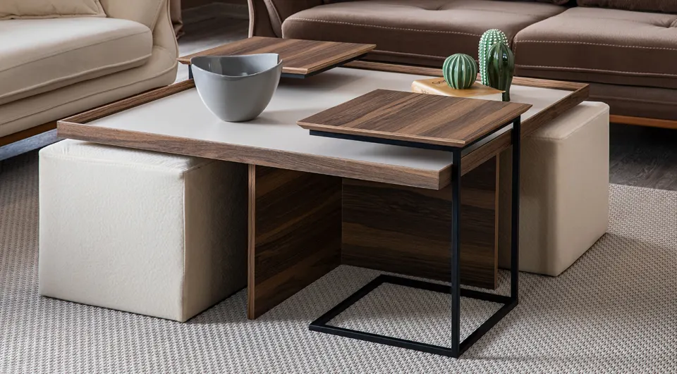 Janti Modern Coffee Table