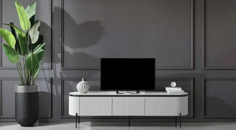 Tesla Plus Tv Unit