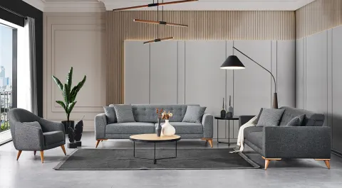 Nesta Gray Wooden Legs Modern Sofa Set