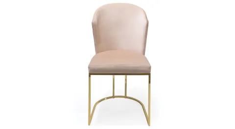 Ladin Gold Metal Leg Chair