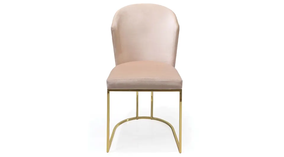 Ladin Gold Metal Leg Chair