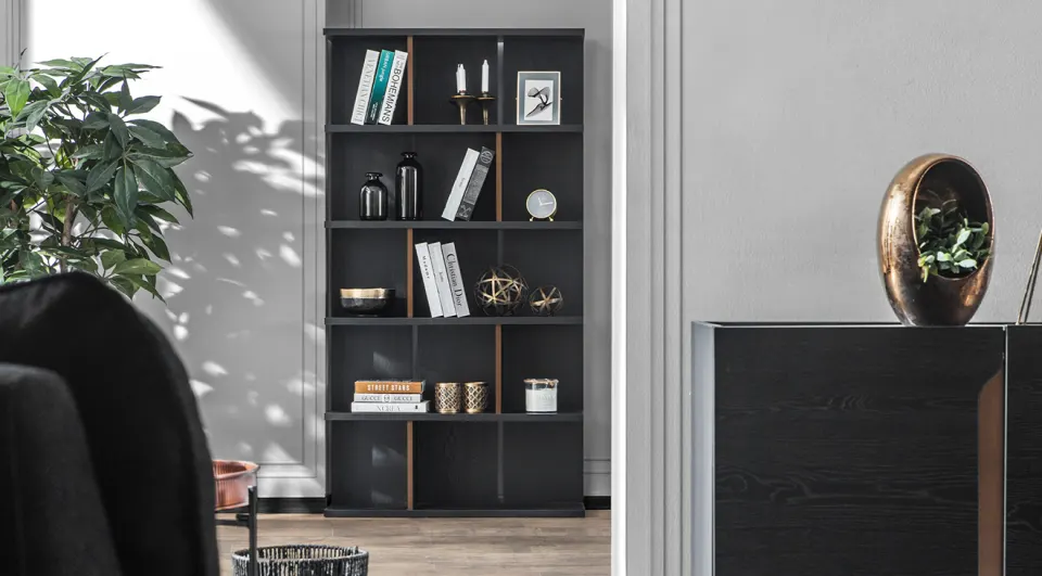Dark Bookshelf