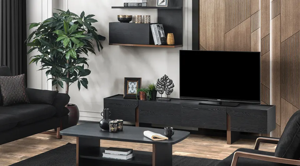 Dark Modern TV Unit