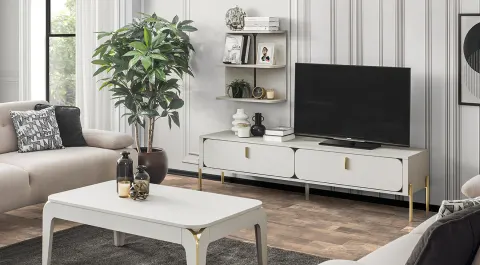 Delight Modern Tv Unit