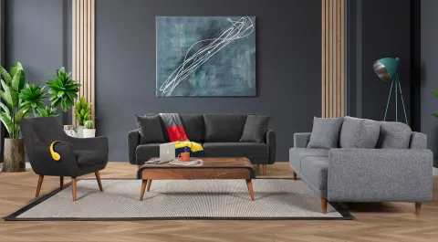Shaggy Modern Sofa Set