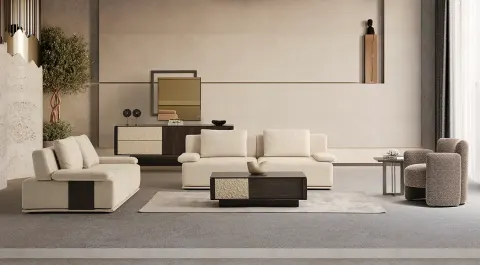 Bold Modern Sofa Set
