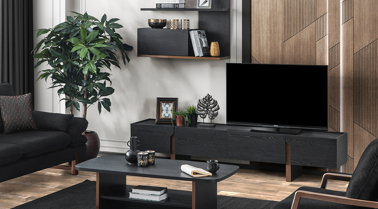 Dark Modern TV Unit