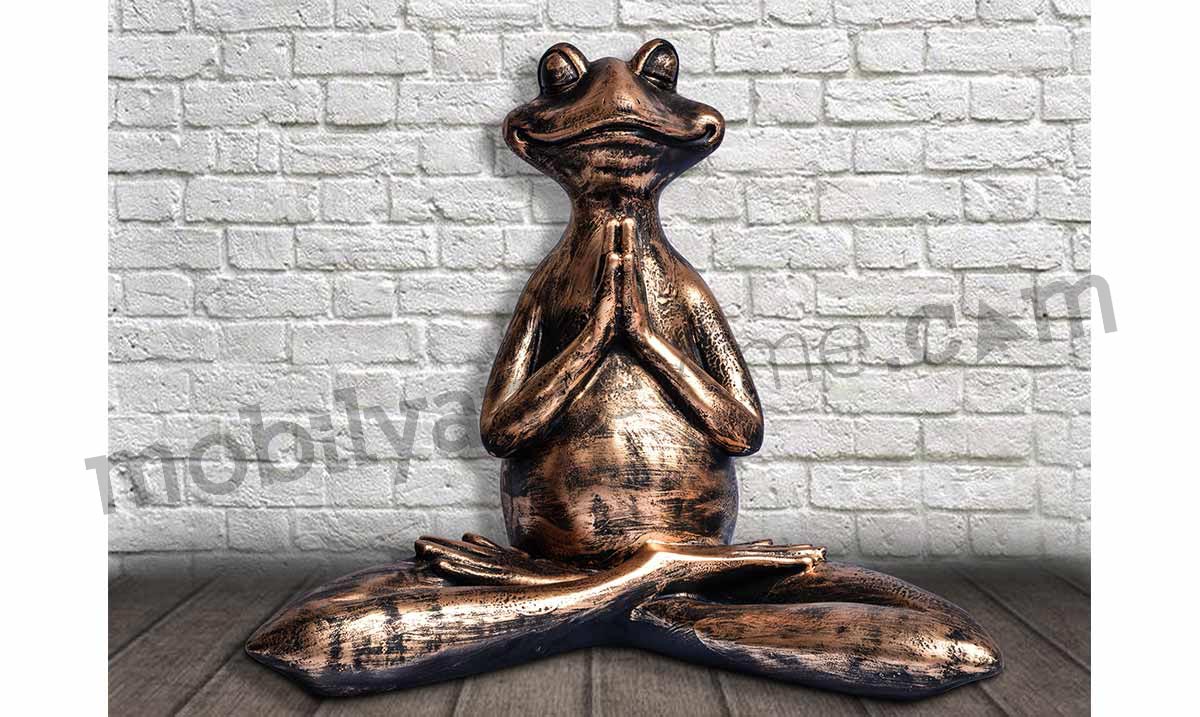 Yogacı Kurbağa 2