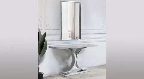 Stainless Dresuar